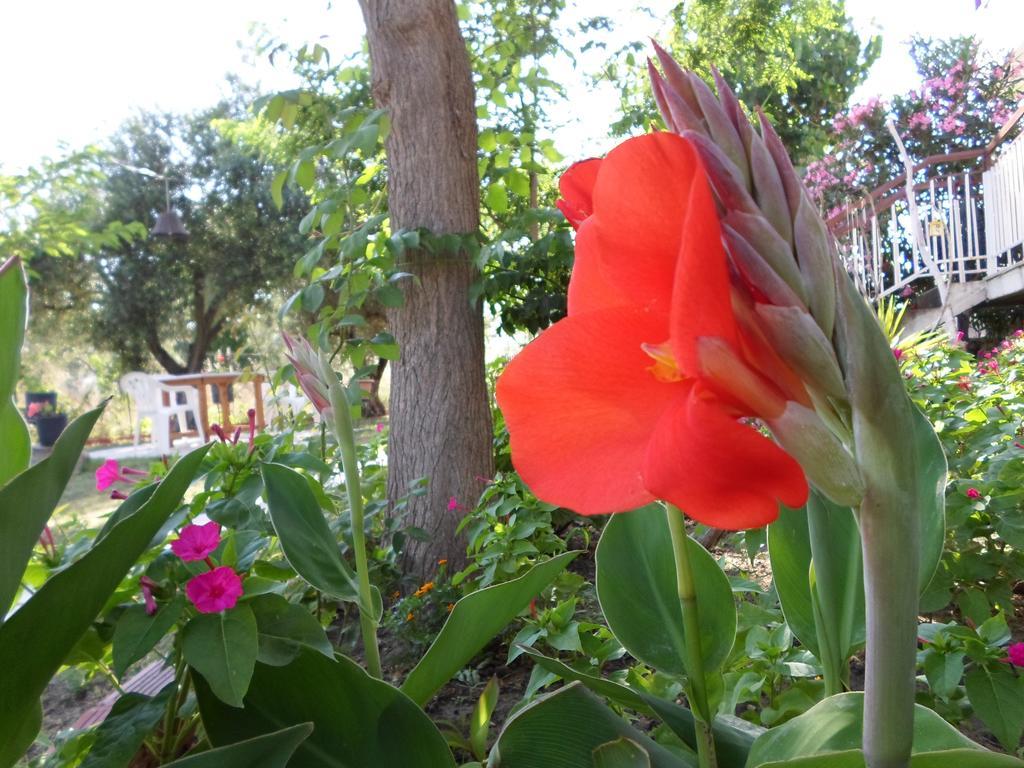 Bozelia Apartments Toroni Dış mekan fotoğraf